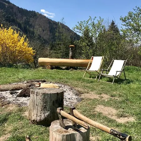Charmante Gaestewohnung In Altem In Alpiner Alleinlage Stanz Im Murztal