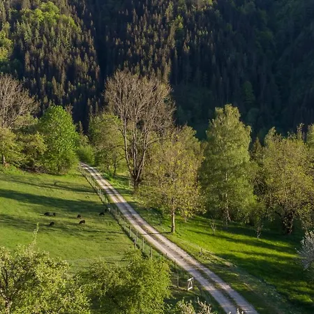 아파트 Charmante Gaestewohnung In Altem In Alpiner Alleinlage Stanz Im Murztal