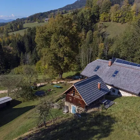 Charmante Gaestewohnung In Altem In Alpiner Alleinlage * Stanz Im Murztal