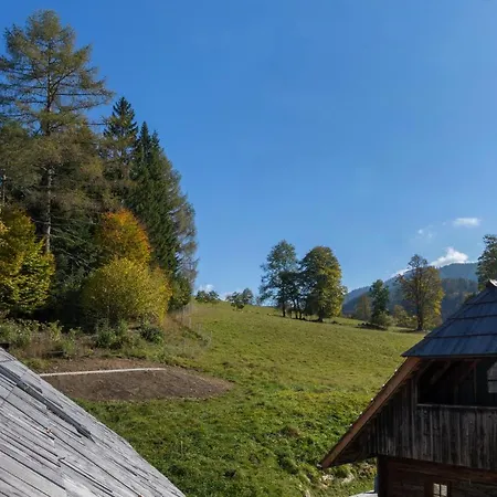아파트 Charmante Gaestewohnung In Altem In Alpiner Alleinlage Stanz Im Murztal