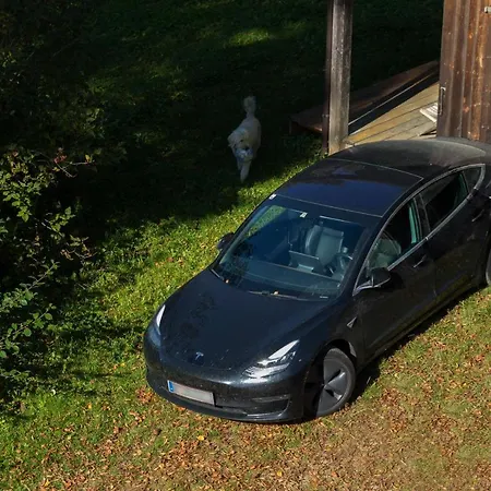 Charmante Gaestewohnung In Altem In Alpiner Alleinlage