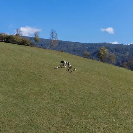 Lejlighed Charmante Gaestewohnung In Altem In Alpiner Alleinlage