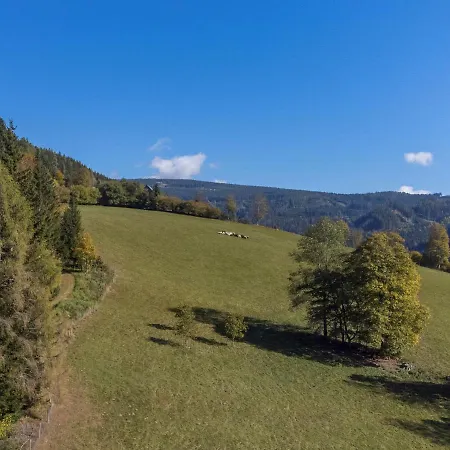 Charmante Gaestewohnung In Altem In Alpiner Alleinlage Stanz Im Murztal