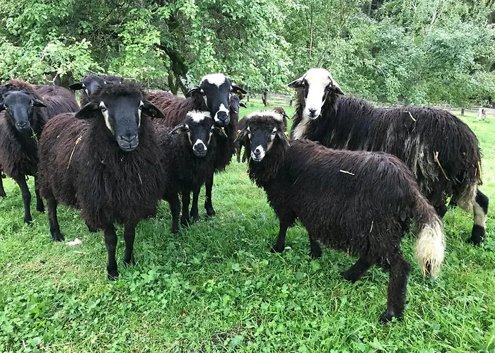 Apartman Charmante Gaestewohnung In Altem In Alpiner Alleinlage