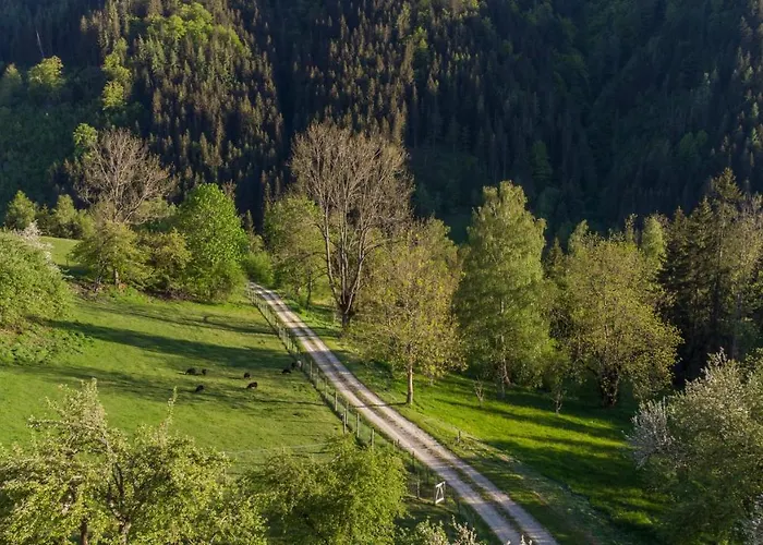 Apartman Charmante Gaestewohnung In Altem In Alpiner Alleinlage Stanz Im Murztal