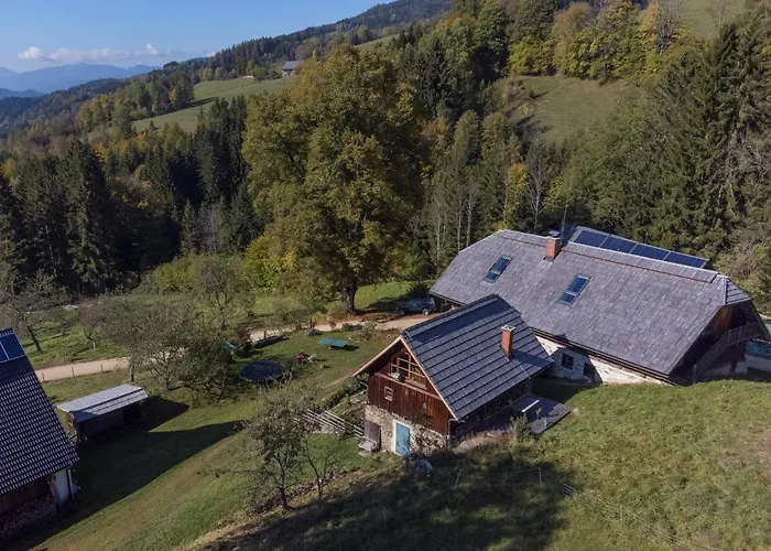Charmante Gaestewohnung In Altem In Alpiner Alleinlage * Stanz Im Murztal