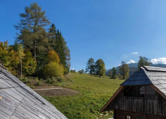 Apartman Charmante Gaestewohnung In Altem In Alpiner Alleinlage Stanz Im Murztal