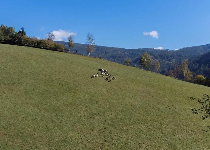 Daire Charmante Gaestewohnung In Altem In Alpiner Alleinlage