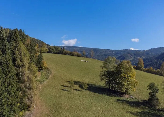 Charmante Gaestewohnung In Altem In Alpiner Alleinlage Stanz Im Murztal
